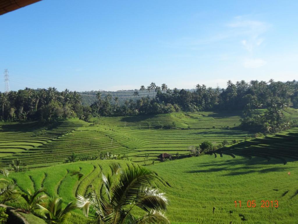 Blimbing  Cempaka Belimbing Villa מראה חיצוני תמונה